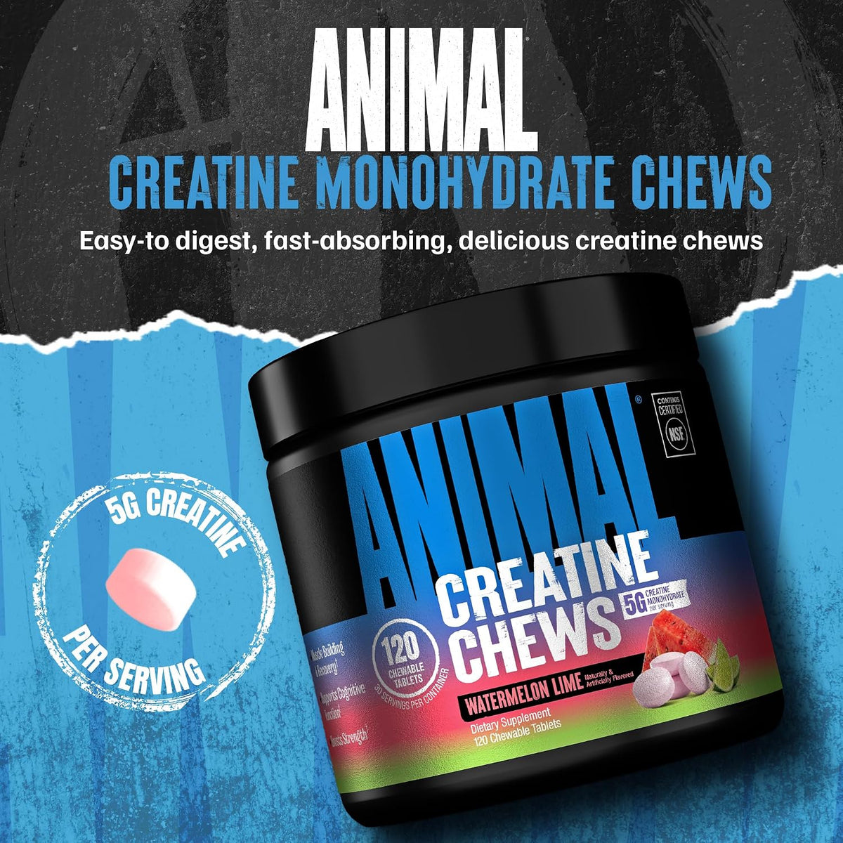 Animal Masticables de monohidrato de creatina - Hombres y mujeres |...