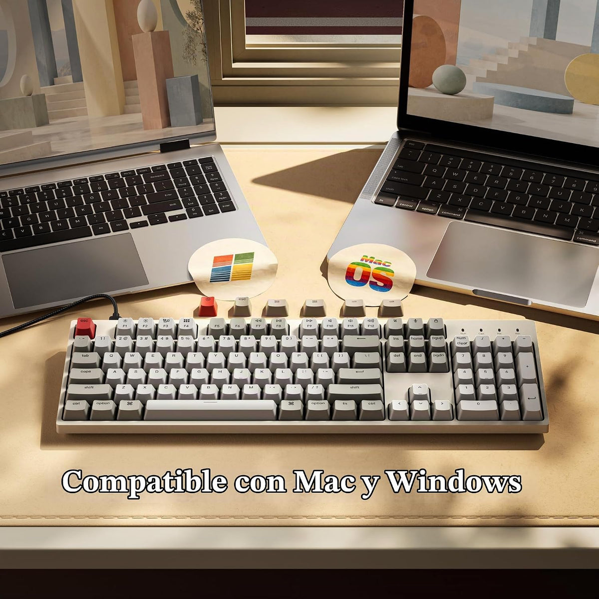 Keychron Teclado mecánico con cable de tamaño completo C2, interrup...