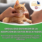 Feline Pine Platinum - Arena para gatos no aglutinante, 17 libras |...