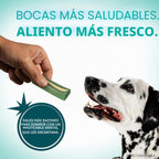 ORAVET Masticables dentales para perros, cuidado bucal e higiene ma...