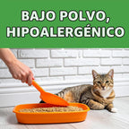 Feline Pine Platinum - Arena para gatos no aglutinante, 17 libras |...
