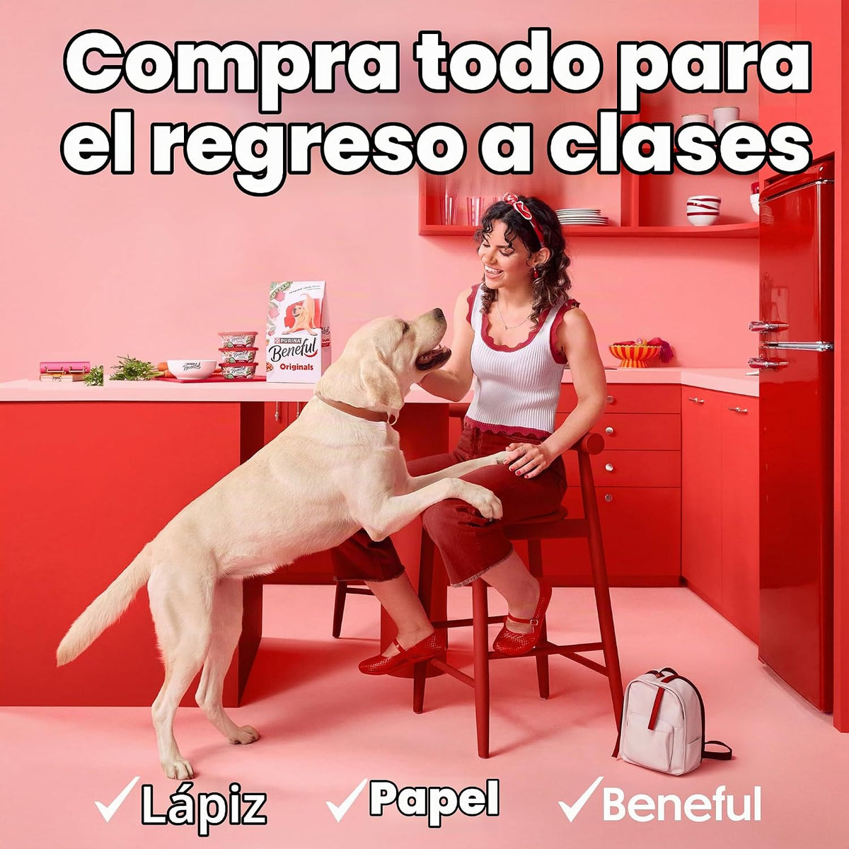 Beneful Purina - Paquete variado de alimentos húmedos para perros d...