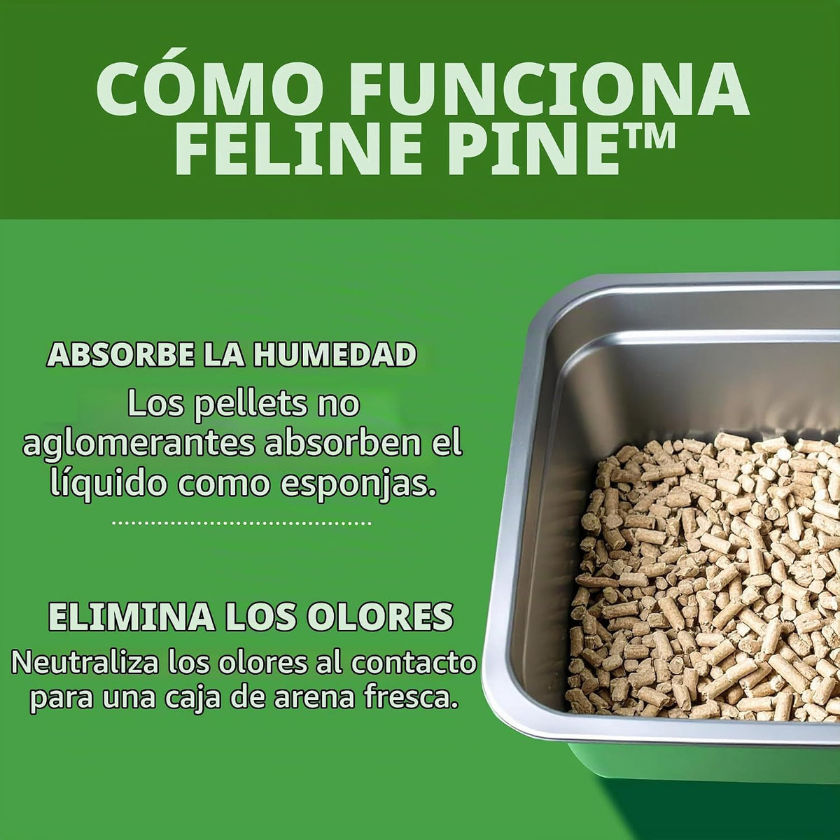Feline Pine Platinum - Arena para gatos no aglutinante, 17 libras |...