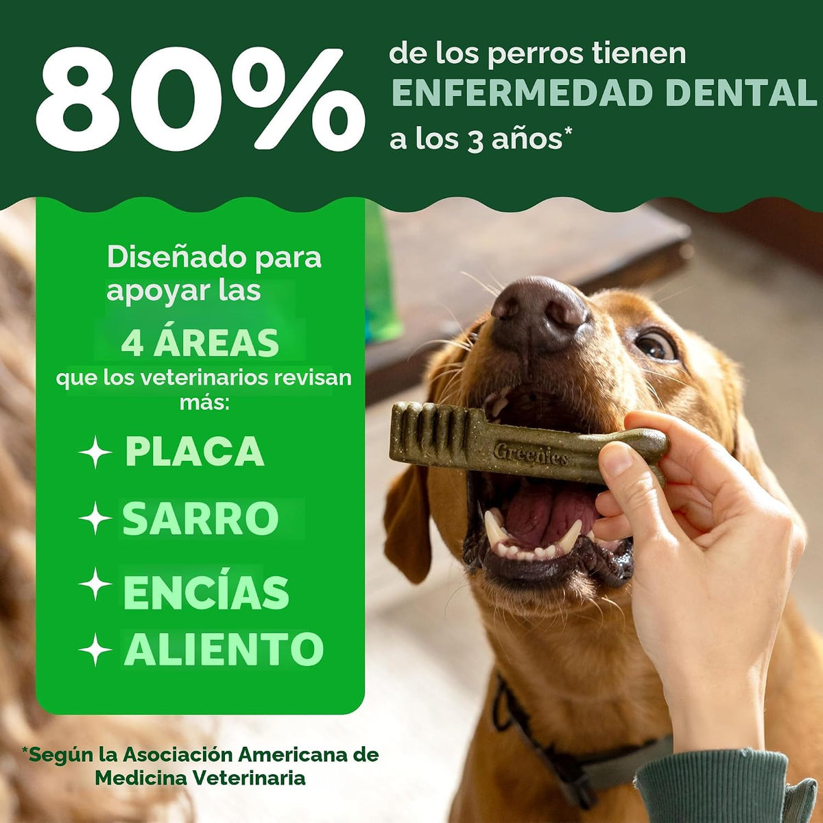Greenies Petite Natural - Golosinas dentales para perros, sabor ori...