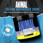 Animal Tabletas masticables de creatina, monohidrato de creatina me...