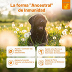 Zesty Paws Alivio de la alergia para perros, suplemento antipicazón...