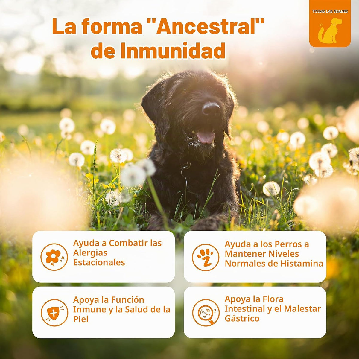 Zesty Paws Alivio de la alergia para perros, suplemento antipicazón...