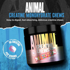 Animal Masticables de monohidrato de creatina para hombres y mujere...