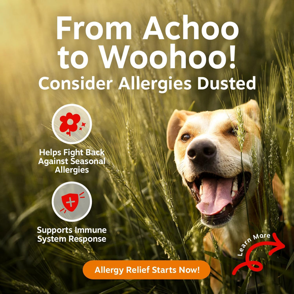 Zesty Paws Alivio de la alergia para perros \u2013 Suplemento antip...