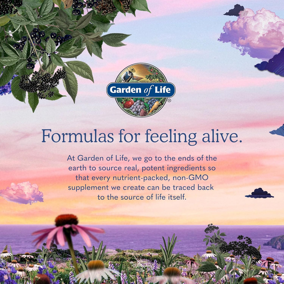 Suplemento multivitamínico vegetariano para Mujeres Garden of Life,...